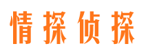 石渠市调查公司